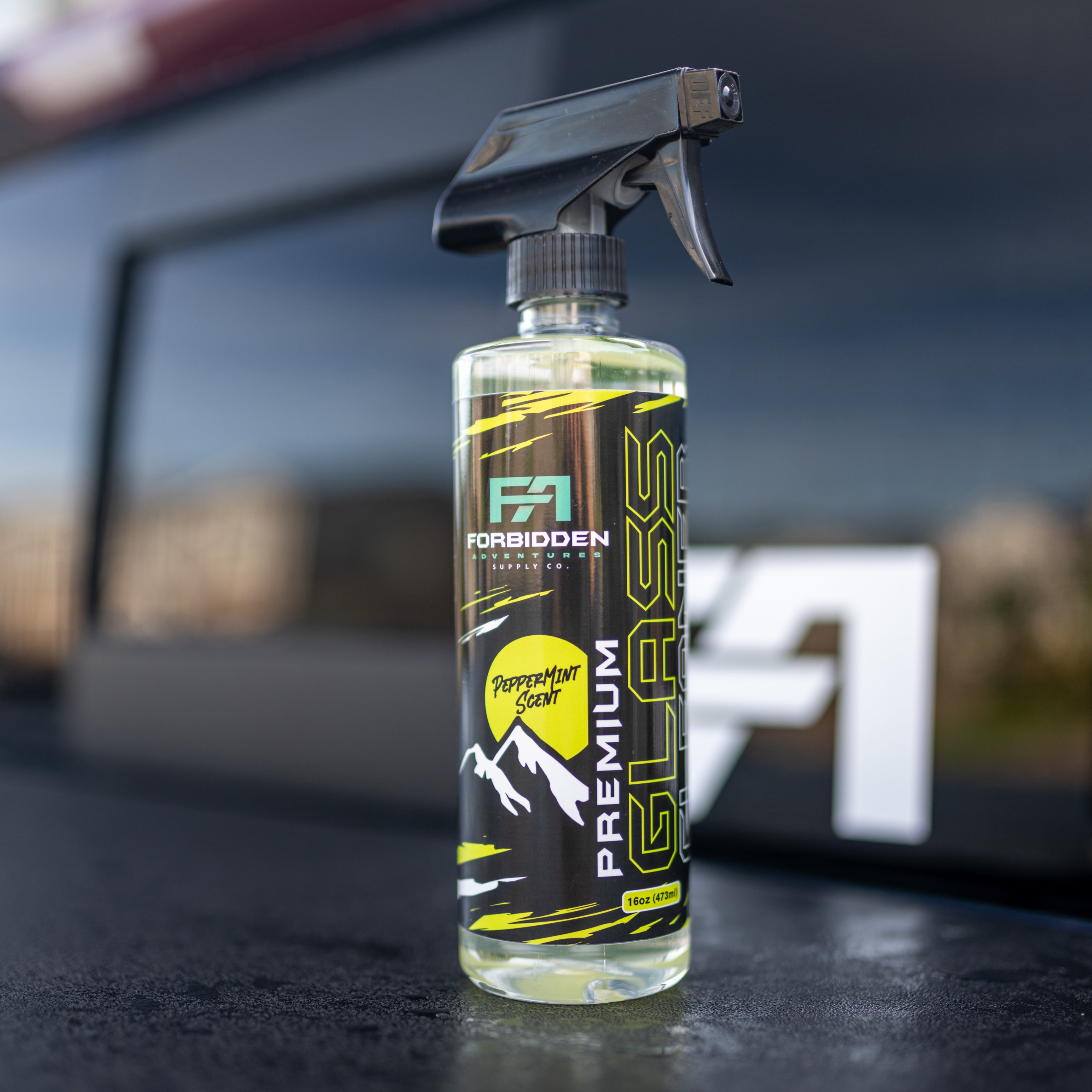 GLASS CLEANER